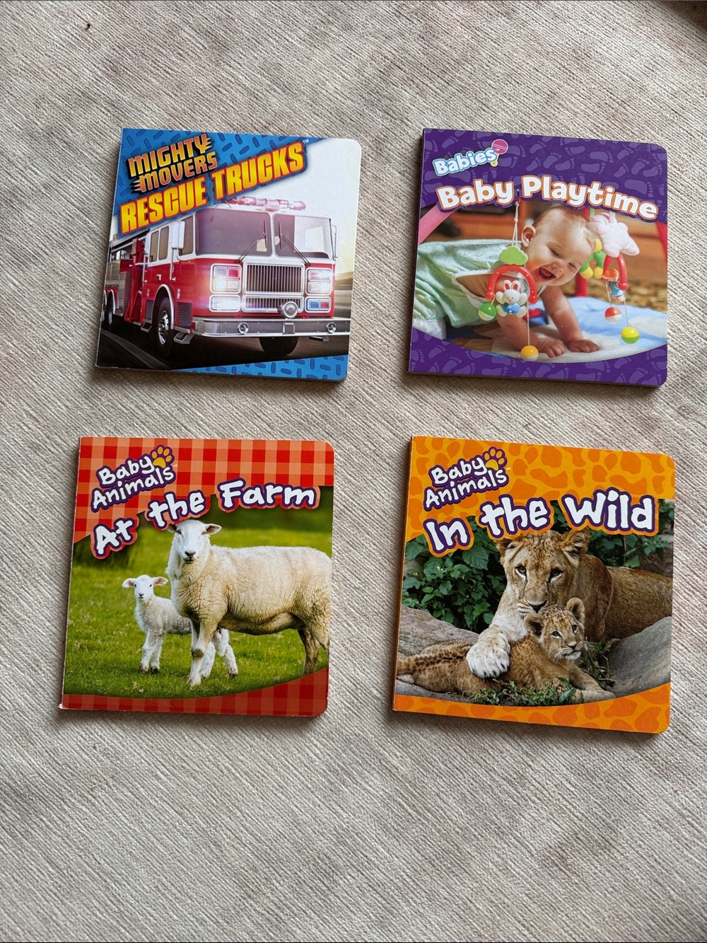 Baby Animals Board Books Set - Red, Purple, Orange, Yellow Covers